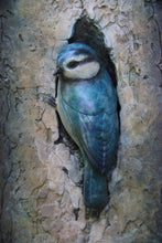 Load image into Gallery viewer, Blue Tit Plaque
