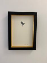 Load image into Gallery viewer, Honey Bee 2
