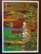 Load image into Gallery viewer, Forest Scenes Prints (12 Scenes)