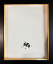 Load image into Gallery viewer, Bumble Bee 1

