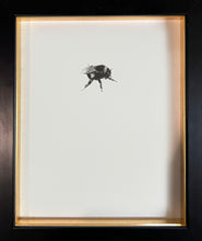 Load image into Gallery viewer, Bumble Bee 5
