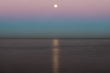 Load image into Gallery viewer, Wolf Moon Rising

