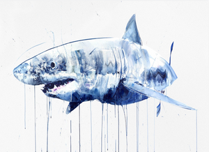 Great White Shark (Hand finished)