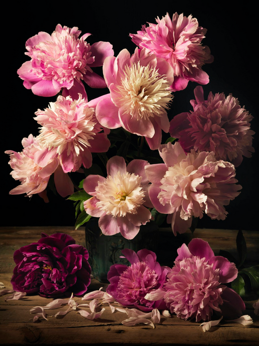 August's in Full Bloom