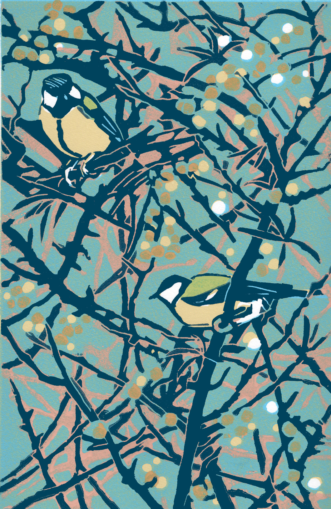 Coastal Sea Buckthorn