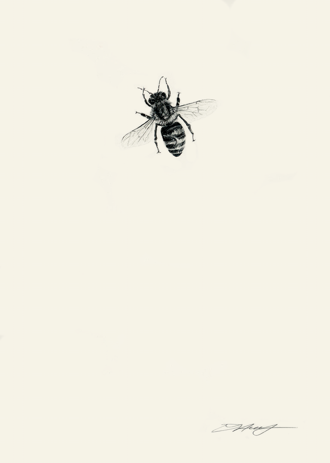 Honey Bee 3