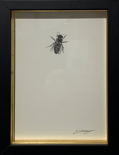 Load image into Gallery viewer, Honey Bee 1
