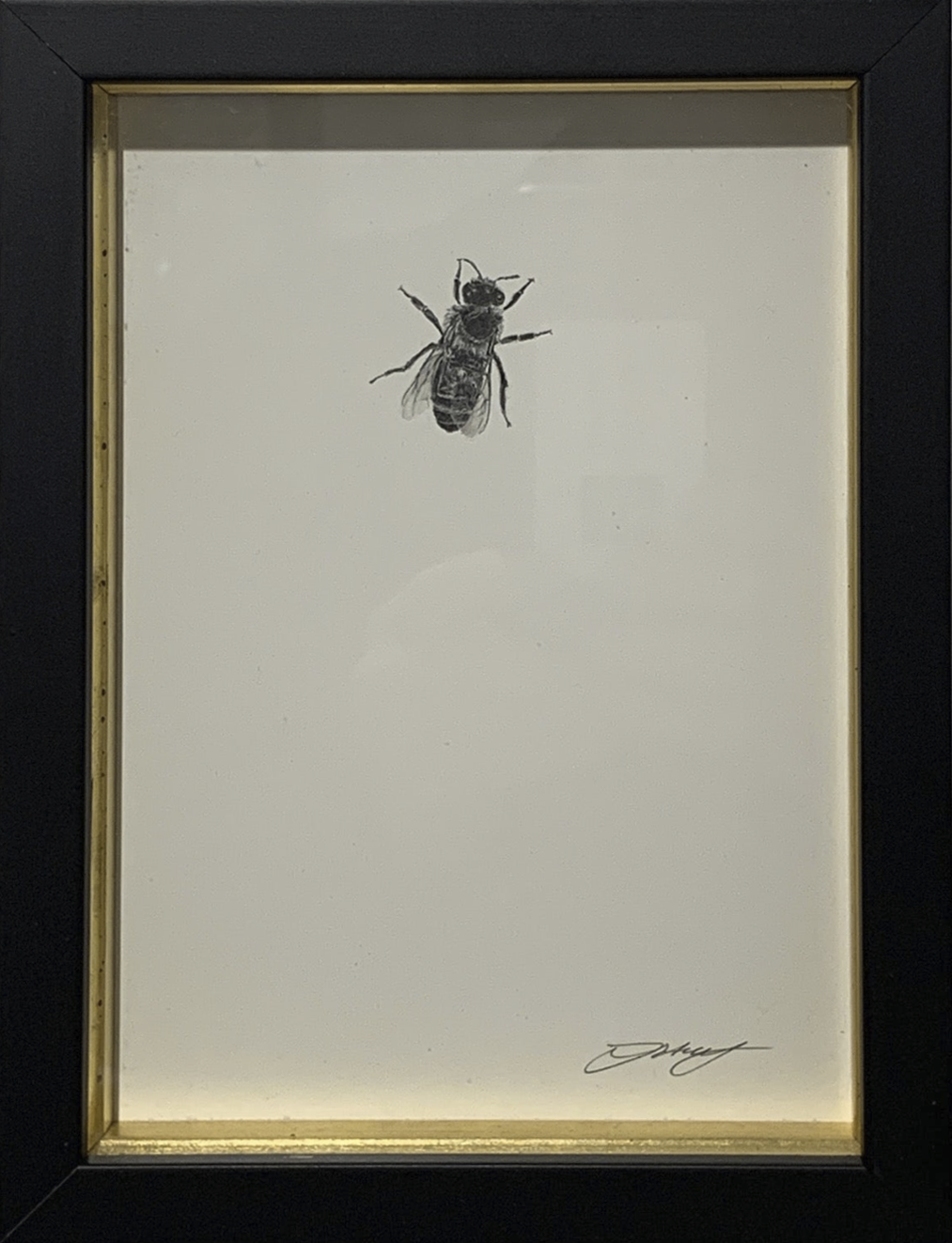Honey Bee 1