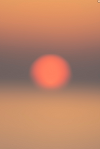 RISE 29