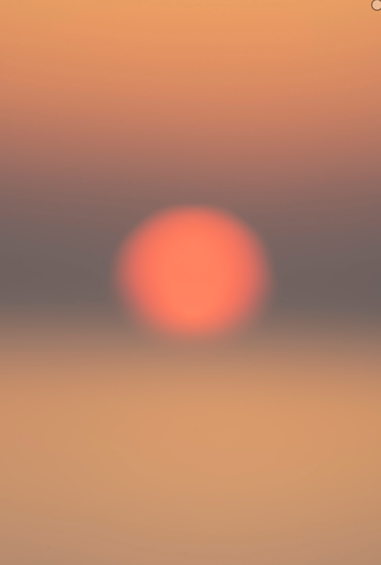 RISE 29