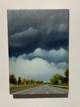 Load image into Gallery viewer, The Long Way Home
