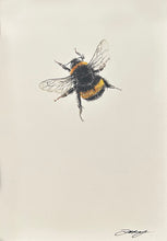 Load image into Gallery viewer, Bee XV
