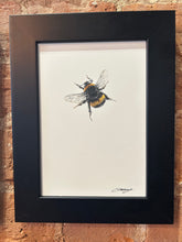Load image into Gallery viewer, Bee XV
