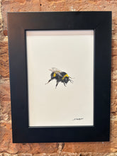 Load image into Gallery viewer, Bee XVI
