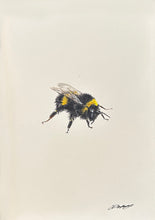 Load image into Gallery viewer, Bee XVI
