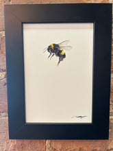 Load image into Gallery viewer, Bee XVII
