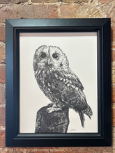 Load image into Gallery viewer, Tawney Owl 1
