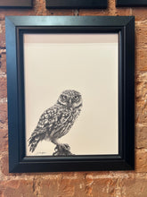 Load image into Gallery viewer, Little Owl 1

