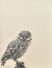 Load image into Gallery viewer, Little Owl 1
