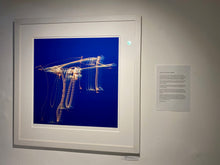 Load image into Gallery viewer, Ship No.17
