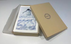 Boxed Penguin Print