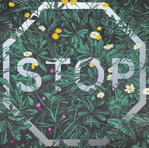 Stop (Oxeye, Knapweed & Hawkbit)