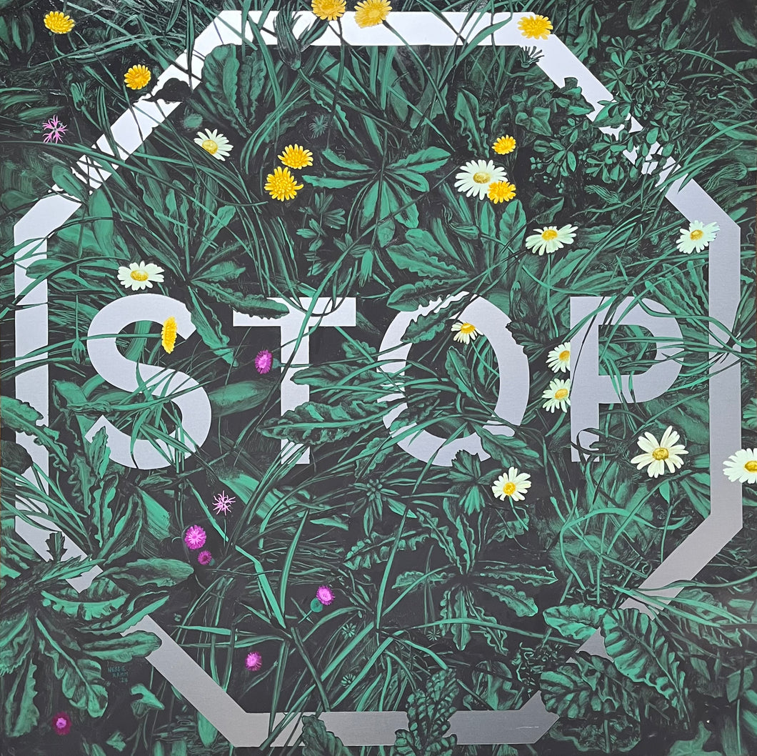 Stop (Oxeye, Knapweed & Hawkbit)