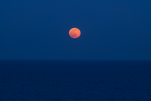 March Moon (Landscape)