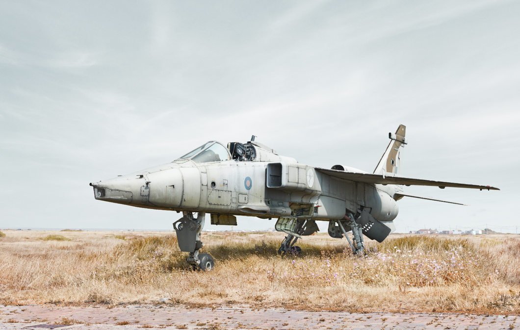 Jaguar #1