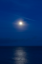 Load image into Gallery viewer, Wolf Moon (2024)
