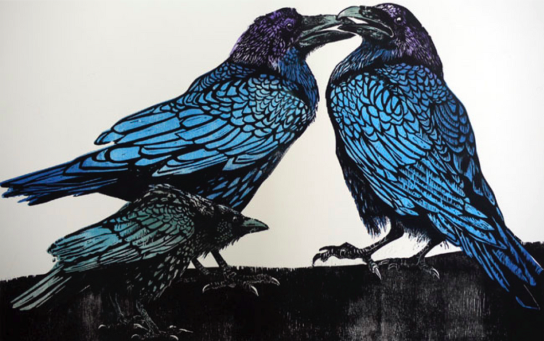 Crow Disturbs The Ravens 2