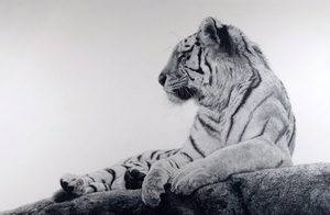 Tiger II