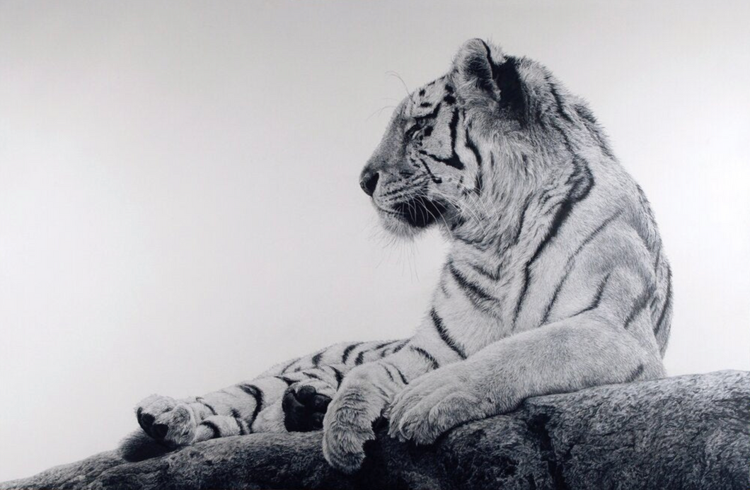 Tiger II