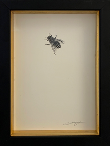 Honey Bee 2