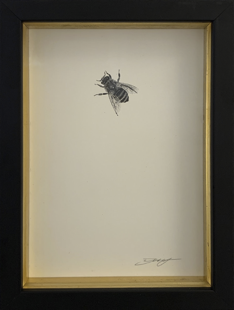 Honey Bee 2