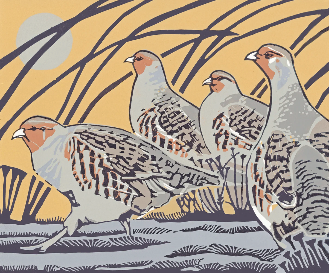 Wiggle Wiggle (Grey Partridges)