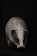 Load image into Gallery viewer, Badger
