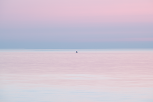 Buoy no.428