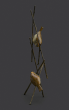 Load image into Gallery viewer, Goldcrests
