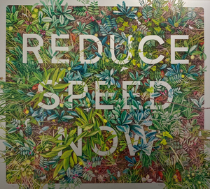 Reduce Speed Now | Print