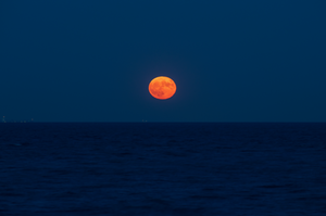 Strawberry Moon (Landscape)