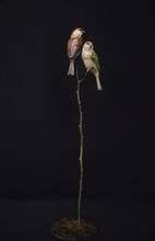 Load image into Gallery viewer, Pair of Sparrows
