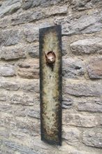 Load image into Gallery viewer, Squirel Plaque
