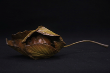 Load image into Gallery viewer, Horse Chesetnut Dormouse
