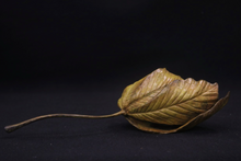 Load image into Gallery viewer, Horse Chesetnut Dormouse
