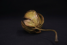 Load image into Gallery viewer, Horse Chesetnut Dormouse
