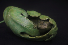 Load image into Gallery viewer, Oak Leaf Toad

