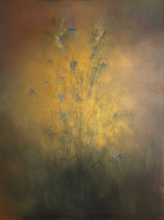 Load image into Gallery viewer, Love in a mist (Nigella)

