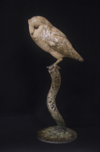 Load image into Gallery viewer, Barn Owl
