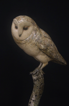 Load image into Gallery viewer, Barn Owl
